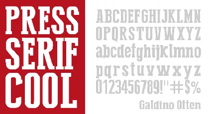 Press Serif Cool font