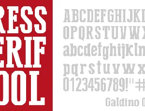 Press Serif Cool font