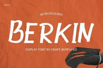 Berkin font