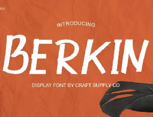 Berkin font