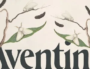 AVENTINE Oldstyle Typeface font