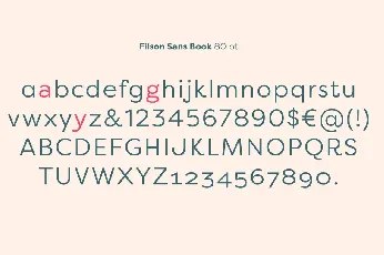 Filson Pro font