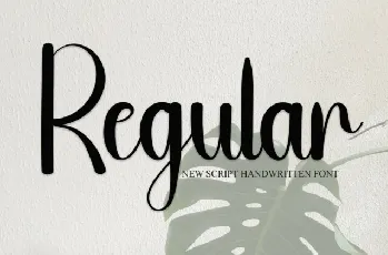 Regular Script Typeface font