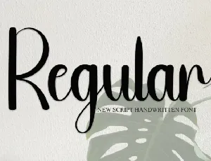 Regular Script Typeface font