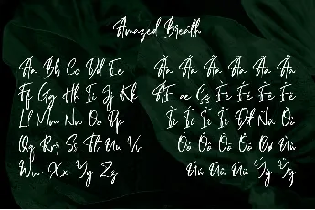 Amazed Breath font