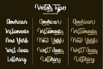 Vector Type Script font