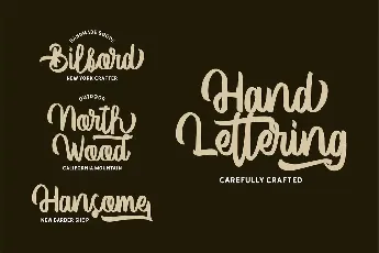 Vector Type Script font