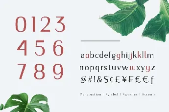 Nourishe font