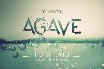 Agave font