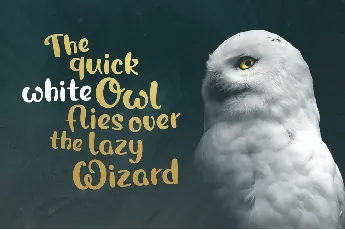 Magic Owl font