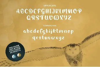 Magic Owl font