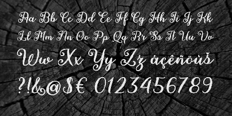 Fairies in the Forest font