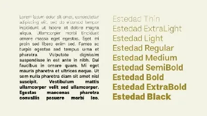 Estedad – Sans Serif family font