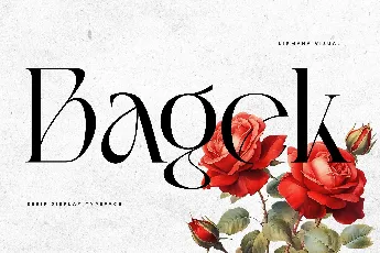 Bagek - Demo Version font