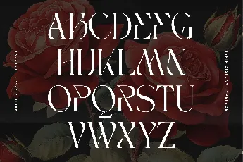 Bagek - Demo Version font