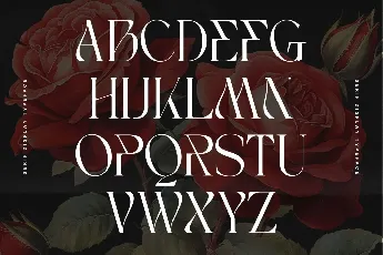 Bagek - Demo Version font