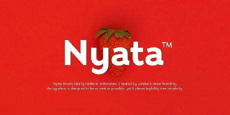 Nyata font