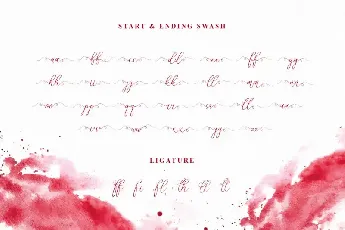 Rosetta Calligraphy font