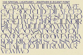 Another Elegant Demo font