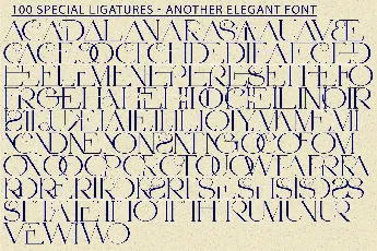 Another Elegant Demo font