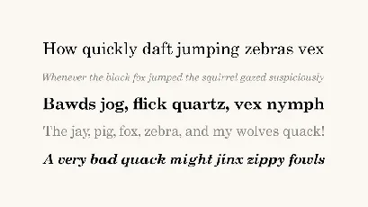 Academico Serif Family font