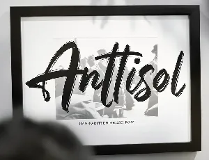 Anttisol font