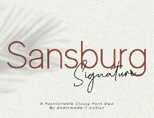 Sansburg Duo font