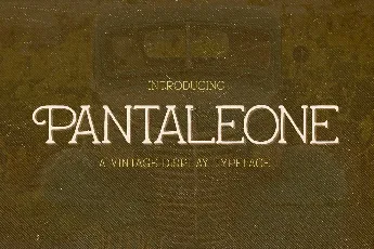 Pantaleone Typeface font