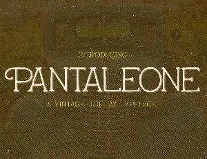 Pantaleone Typeface font