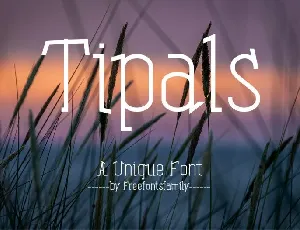 Tipals font