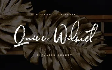 Quinn Wilmet Brush font