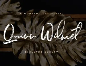 Quinn Wilmet Brush font