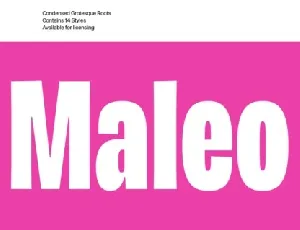 Maleo Family font