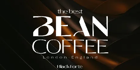 Black Forte Demo font