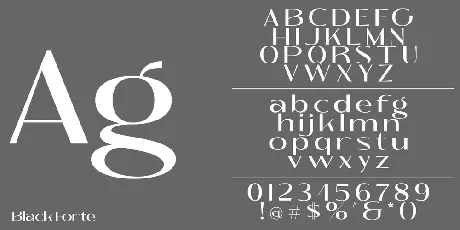 Black Forte Demo font