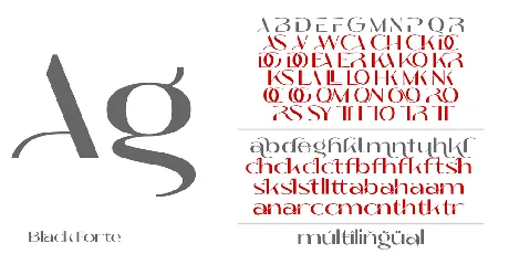 Black Forte Demo font