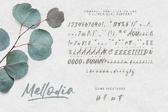 Mellodia font