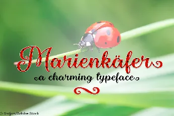 Marienkaefer font