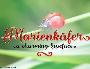 Marienkaefer font