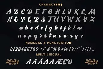 The Brocky font