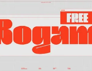 Bogam Display font