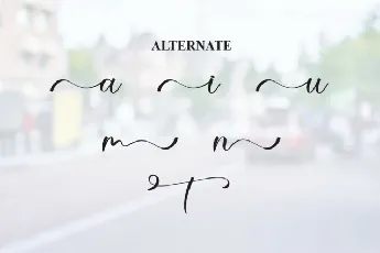 Amsterdam Calligraphy font