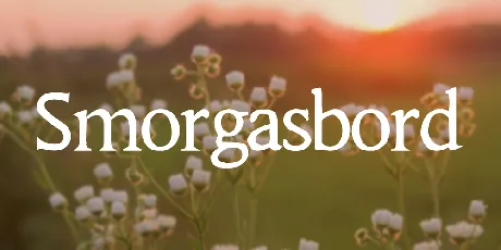 Smorgasbord font