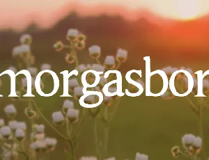 Smorgasbord font