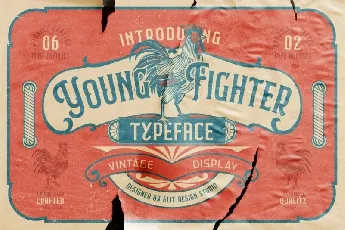 Young Fighter font