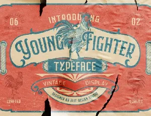 Young Fighter font