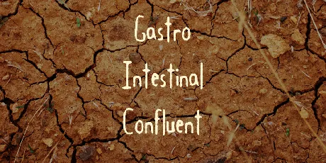 Gastro Intestinal Confluent font