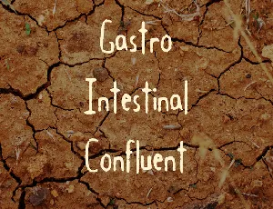 Gastro Intestinal Confluent font