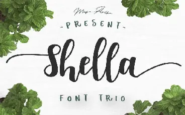 Shella Script Free Download font