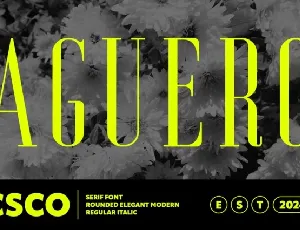 Aguero Serif Rounded font